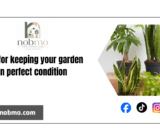 Tips for keeping your garden in perfect condition