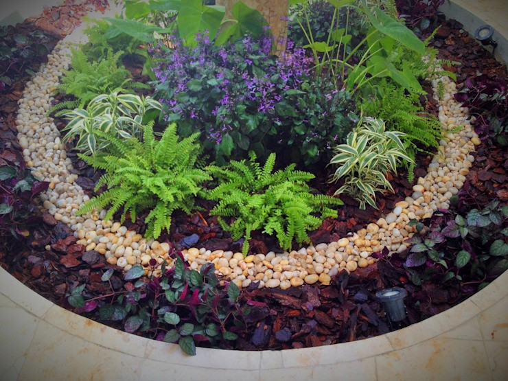 SMALL CORNERS, EcoEntorno Urban landscaping EcoEntorno Urban landscaping Modern style gardens