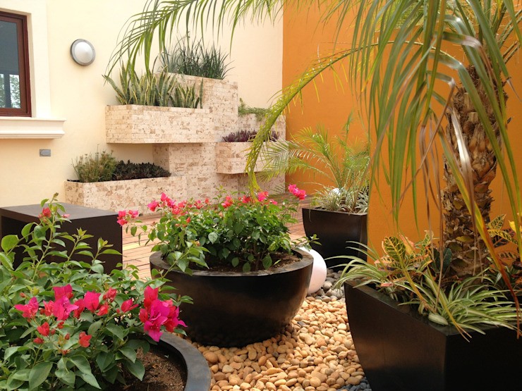 Potted gardens and more..., EcoEntorno Urban Landscaping EcoEntorno Urban Landscaping Modern style gardens