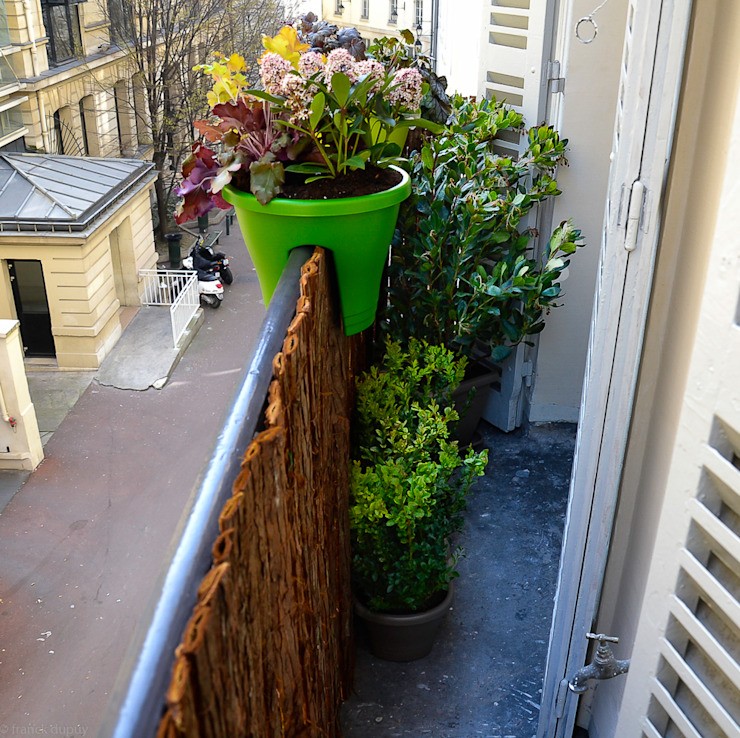 Forest inspiration, Easy Balcony Easy Balcony