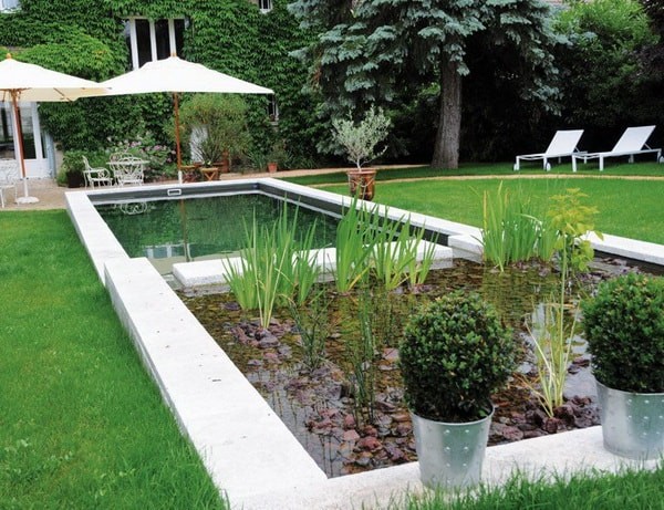 Construction of natural swimming pools
