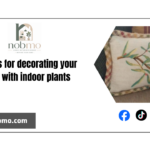 15 ideas for decorating your home with indoor plants