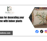 15 ideas for decorating your home with indoor plants