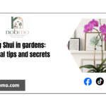 Feng Shui in gardens: oriental tips and secrets