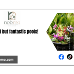15 small but fantastic pools!