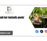 15 small but fantastic pools!