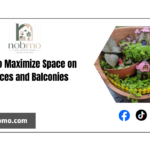 Ideas for taking advantage of the space offered by terraces and balconies