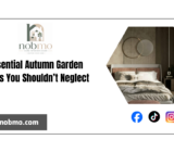 Tasks that you should not neglect in the autumn in the garden