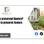 What are preserved flowers? 6 ways to preserve flowers