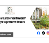 What are preserved flowers? 6 ways to preserve flowers