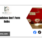 Why Radishes Don’t Form Bulbs: Reasons Why Radishes Don’t Form Bulbs