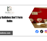 Why Radishes Don’t Form Bulbs: Reasons Why Radishes Don’t Form Bulbs