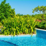 Here are the best plants you can put next to the pool