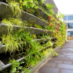 Vertical garden: tips for creating it and keeping it beautiful