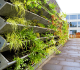 Vertical garden: tips for creating it and keeping it beautiful