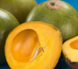 The benefits of consuming lucuma for your health