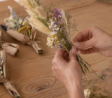 What are preserved flowers? 6 ways to preserve flowers