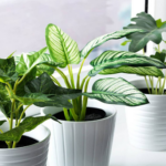 20 very realistic artificial plants for your home