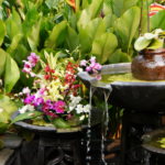 Feng Shui in gardens: oriental tips and secrets