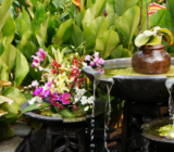 Feng Shui in gardens: oriental tips and secrets