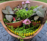 3 beautiful and easy ideas for miniature gardens