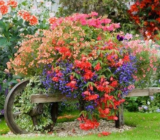 20 ideas for creating planters with recycled objects to decorate your garden