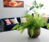 Ideas for decorating with recycled plants and vases