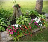 Ideas for decorating your garden with little money