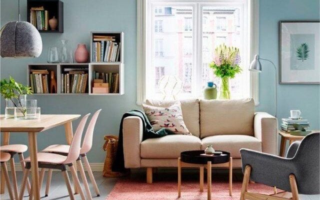 Ideas for furnishing the living room and bedroom with books