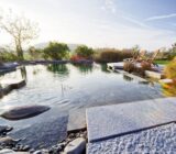 Natural swimming pools: benefits, advantages and disadvantages