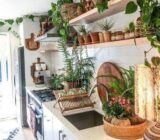 Plants in the kitchen: Ideas for decorating the kitchen with plants