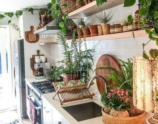 Plants in the kitchen. Ideas for decorating the kitchen with plants